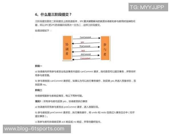 足球衬衫批发市场分析与采购指南助您轻松选购优质产品